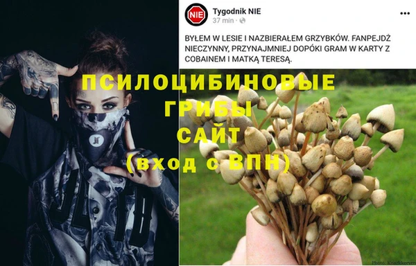 бошки Осташков