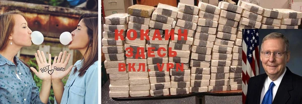 винт Алзамай