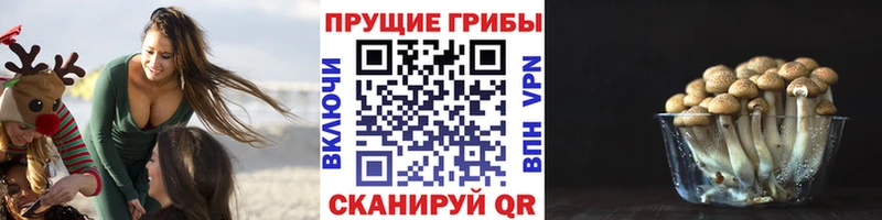 Псилоцибиновые грибы MAGIC MUSHROOMS Карачаевск